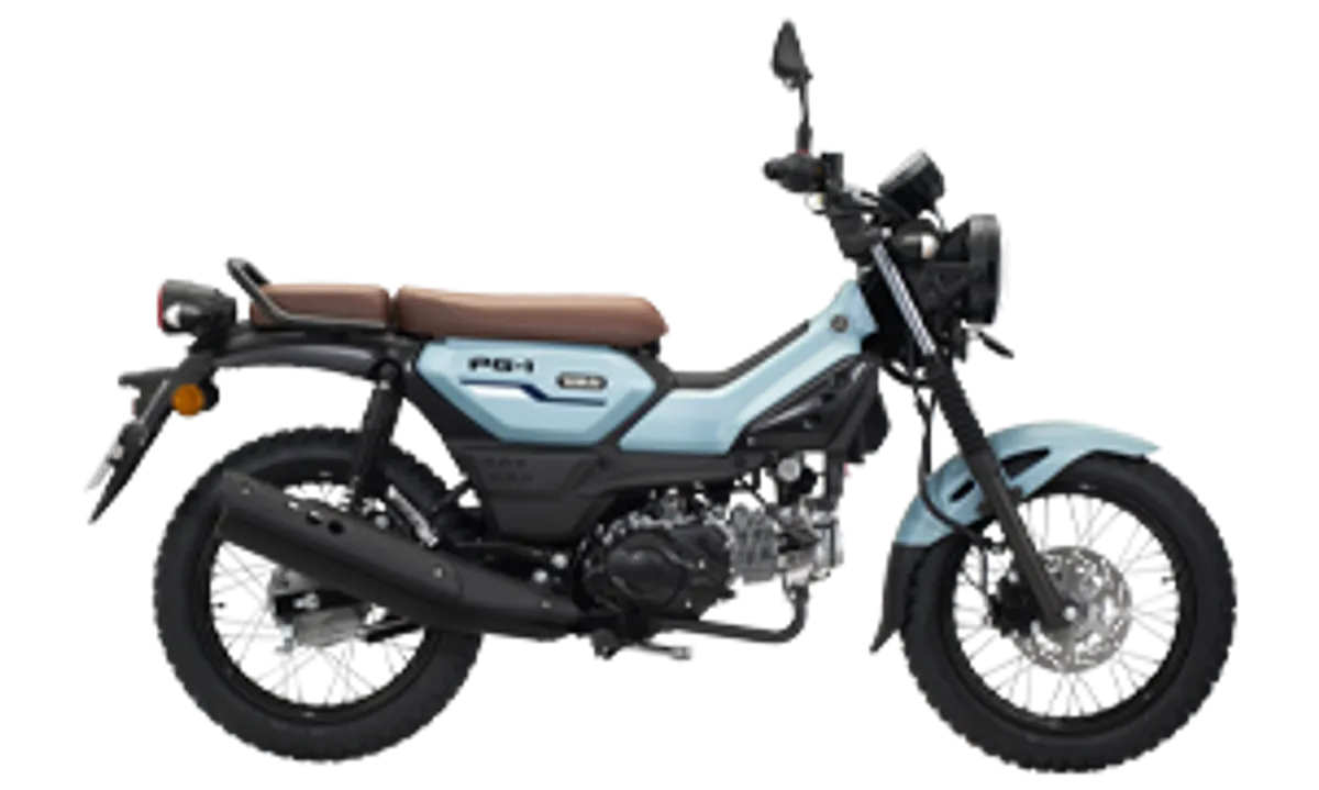 YAMAHA PG-1