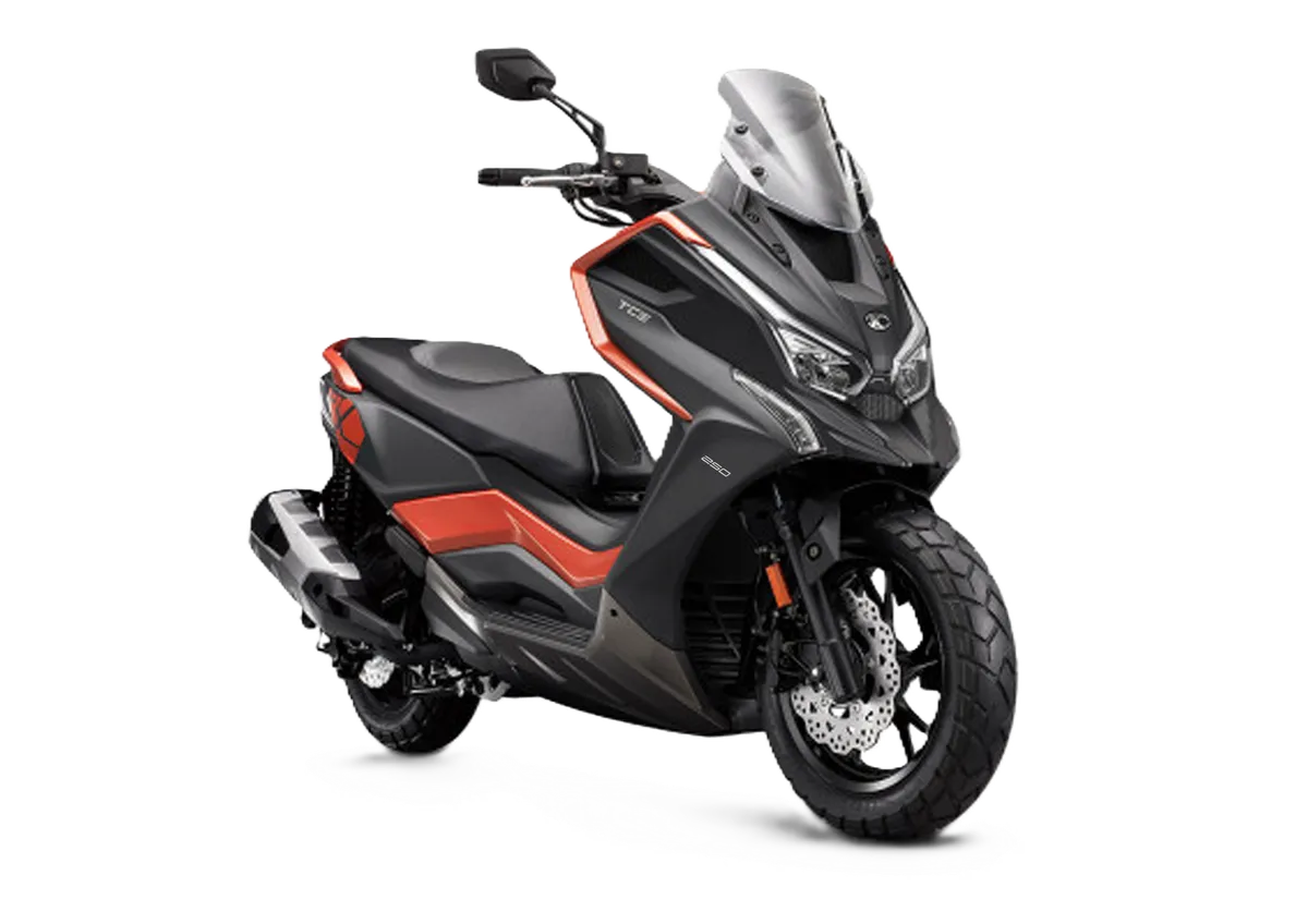 MODENAS DTX 250