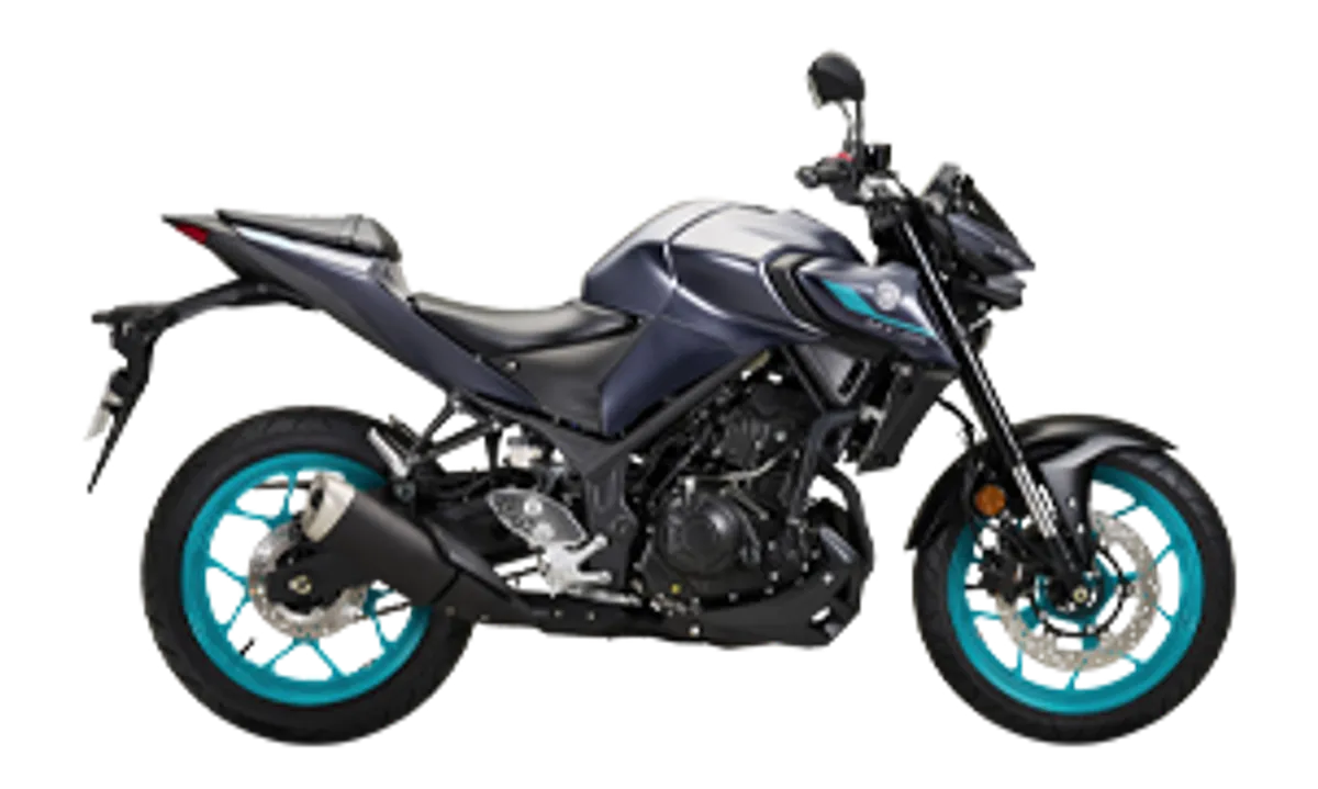 YAMAHA MT 25